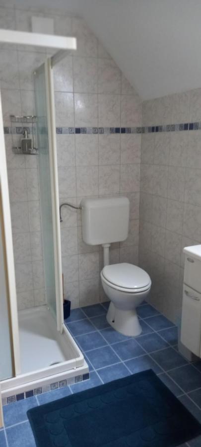 Apartma Metka Bohinj Esterno foto